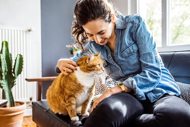 Cat Allergies: Symptoms, Causes, and Solutions