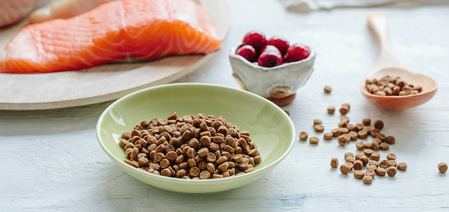 Top 5 Must-Have Ingredients for Healthy Cat Food