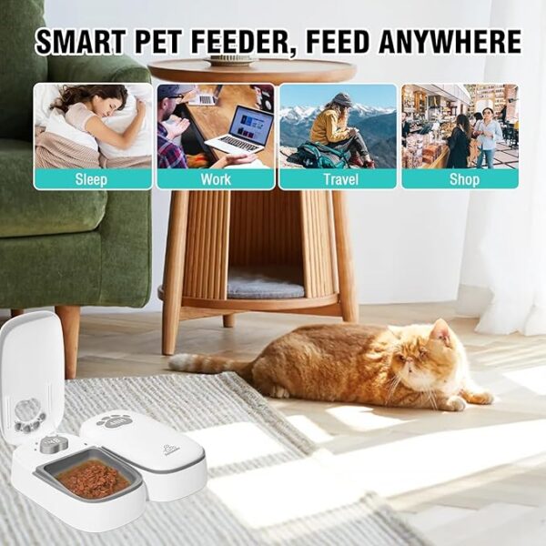 SKAILING Automatic Cat Feeder 2 Meal, 48H Timer Wet Dry Cat Food Dispenser, with Display and Power Saving Mode, for Cat and Dog Automatic Feeder - Image 2