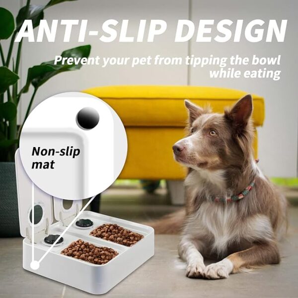 All for Paws Automatic Cat Feeder 2 Meal Dog Feeder, Dry and Wet Food Dispenser with 48-Hour Timer, Ice Pack Included, Dishwasher Safe - Image 6