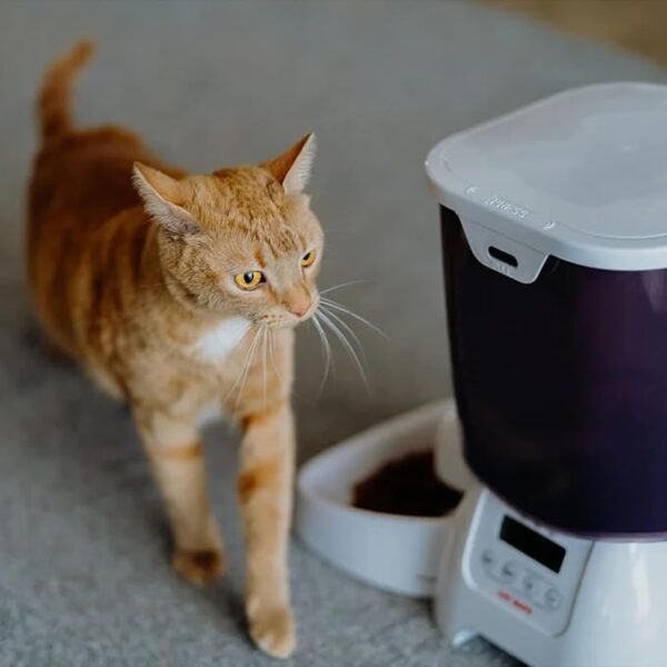 Cat Mate C3000 Automatic Dry Food 3-Meal Feeder, BPA Free for Cats & Small Dogs - Image 6