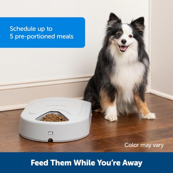 PetSafe Automatic Dog Feeder, 5 Meals, 40 oz Capacity, Plastic, for Dry Food, Multiple Pets - Image 2