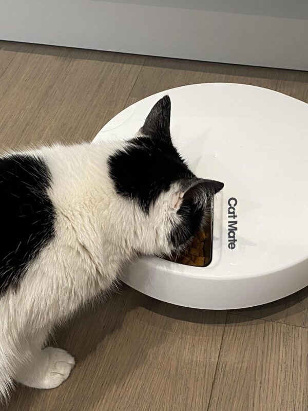 Cat Mate C500 - 5 Meal Digital Automatic Feeder with Ice Packs for Cats and Small Dogs - Image 9