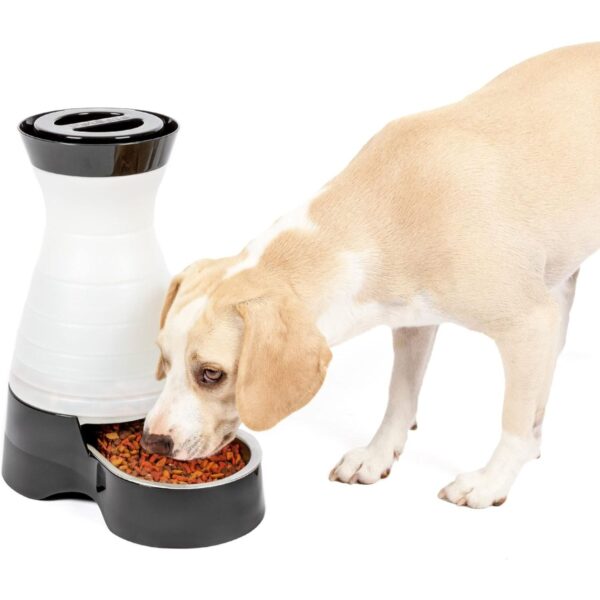 PetSafe Healthy Pet Food Station - Medium, 4 lb Kibble Capacity - Gravity Pet Feeder Dry Food Dispenser, Automatic Cat Feeder, Small to Medium Dog Feeder - Removable Stainless Steel Bowl Included