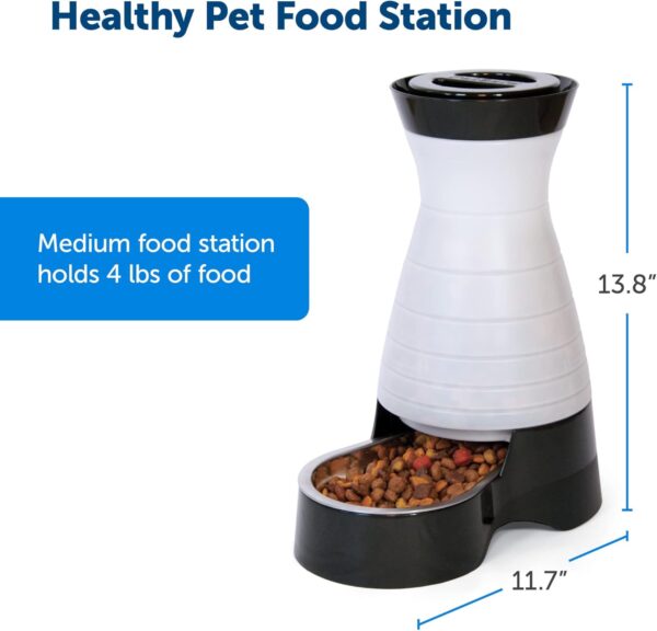 PetSafe Healthy Pet Food Station - Medium, 4 lb Kibble Capacity - Gravity Pet Feeder Dry Food Dispenser, Automatic Cat Feeder, Small to Medium Dog Feeder - Removable Stainless Steel Bowl Included - Image 5