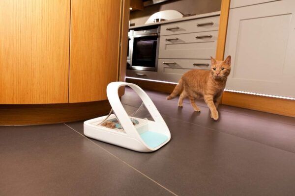 Sure Petcare -SureFlap - SureFeed - Microchip Pet Feeder - Selective-Automatic Pet Feeder Makes Meal Times Stress-Free, Suitable for Both Wet and Dry Food - MPF001 - Image 4