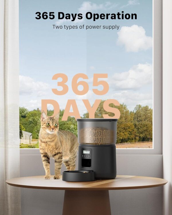 Automatic Cat Feeder: Cat Food Dispenser - Cat Feeder with 1-6 Meals - Cat Feeder Automatic - Customized Feeding Schedule for Cats & Dogs - 3L Cat Automatic Feeders Including Desiccant Bag - BEMOONY - Image 10