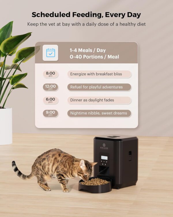 VOLUAS Automatic Cat Feeder - Automatic Pet Feeders for Cats and Dogs, Cat Food Dispenser for Dry Food, Timed Cat Feeders with Memory Function, 2L Auto Cat Feeder - Image 4