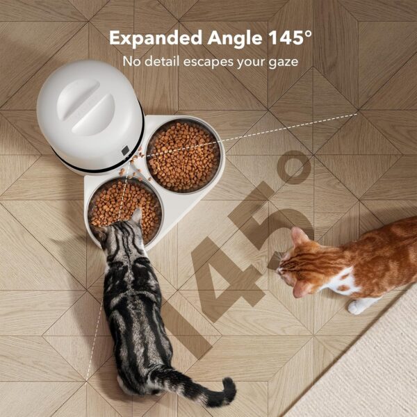 Cat feeder kmart best sale