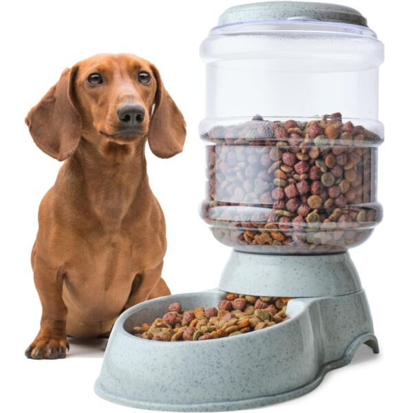 Noa Store Automatic 1-Gallon Pet Feeder, Easy to Clean, Supports Multiple Pets, Ideal for Cats and Dogs