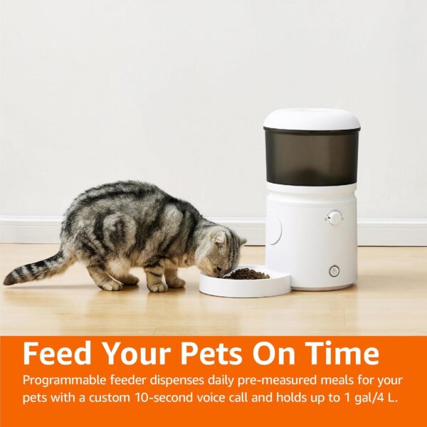 Automatic Feeder for Cats and Dogs with Speed & Portion Control, 4L Capacity, White - Image 2